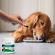 Vet's Best Dental Powder for Dogs - 90 g Vet's Best Dental Powder for Dogs - 90 g