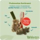 WHIMZEES By Wellness Mixed Variety Box Chew Sticks for Large Dogs for Dental Care, Size L, 14 Pack, No Added Sugar, Grain-Free, Natural, Low Fat