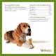 WHIMZEES Natural Gluten-free Dental Care Snacks, Chew Sticks for Dogs, Rice Bone, L, 9 x 60g