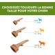 WHIMZEES by Wellness Antler Antler Dog Snack for Medium Dogs, Medium, Pack of 12, Calming, No Added Sugar, Grain-Free, Natural, Low Fat WHIMZEES by Wellness Antler Antler Dog Snack for Medium Dogs, Medium, Pack of 12, Calming, No Added Sugar, Grain-Free, Natural, Low Fat