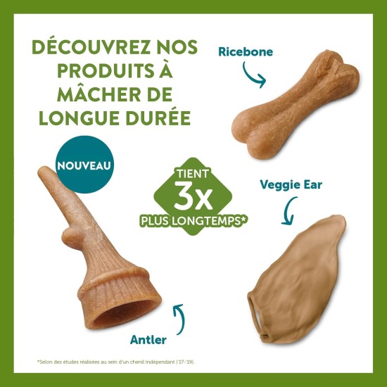 WHIMZEES by Wellness Antler Antler Dog Snack for Medium Dogs, Medium, Pack of 12, Calming, No Added Sugar, Grain-Free, Natural, Low Fat WHIMZEES by Wellness Antler Antler Dog Snack for Medium Dogs, Medium, Pack of 12, Calming, No Added Sugar, Grain-Free, Natural, Low Fat
