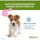 WHIMZEES by Wellness Puppy Stix, Chew Bones for Large Puppies, Dog Snack for Dental Care, Size M/L, 14 Pieces, No Added Sugar, Grain-Free, Natural, Low Fat WHIMZEES by Wellness Puppy Stix, Chew Bones for Large Puppies, Dog Snack for Dental Care, Size M/L, 14 Pieces, No Added Sugar, Grain-Free, Natural, Low Fat