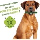Whimzees Dog Chew Sticks Whimzees Dog Chew Sticks