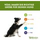 Whimzees Dog Chew Sticks Whimzees Dog Chew Sticks