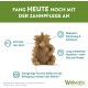 Whimzees natural grain-free dental care snacks, chew sticks for dogs, crocodile Whimzees natural grain-free dental care snacks, chew sticks for dogs, crocodile