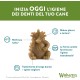 Whimzees natural grain-free dental care snacks, chew sticks for dogs, crocodile Whimzees natural grain-free dental care snacks, chew sticks for dogs, crocodile