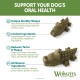 Whimzees natural grain-free dental care snacks, chew sticks for dogs, crocodile Whimzees natural grain-free dental care snacks, chew sticks for dogs, crocodile