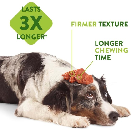 Whimzees natural grain-free dental care snacks, chew sticks for dogs, crocodile Whimzees natural grain-free dental care snacks, chew sticks for dogs, crocodile