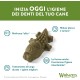 Whimzees natural grain-free dental care snacks, chew sticks for dogs, crocodile Whimzees natural grain-free dental care snacks, chew sticks for dogs, crocodile