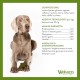 Whimzees natural grain-free dental care snacks, chew sticks for dogs, crocodile Whimzees natural grain-free dental care snacks, chew sticks for dogs, crocodile