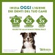 Whimzees natural grain-free dental care snacks, chew sticks for dogs, crocodile Whimzees natural grain-free dental care snacks, chew sticks for dogs, crocodile