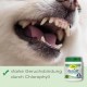 cdVet natural products DentaVet Breath fresh 0.2lbs cdVet natural products DentaVet Breath fresh 0.2lbs