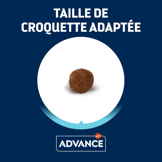 Advance Dog Food Yorkshire Terrier 1.5kg Advance Dog Food Yorkshire Terrier 1.5kg