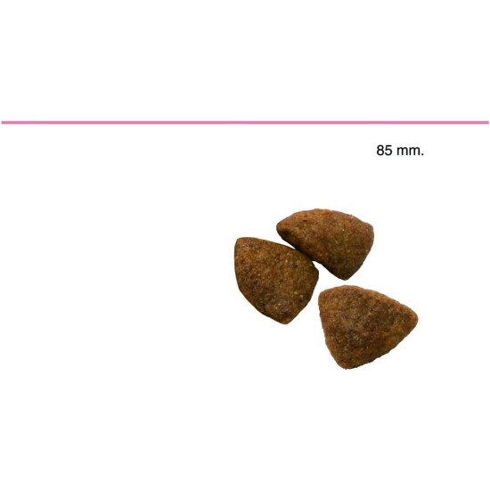 Advance Lamb and Rice Dry Dog Food Advance Lamb and Rice Dry Dog Food