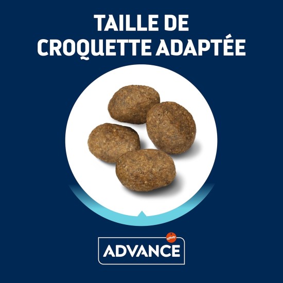 Advance Lamb and Rice Dry Dog Food Advance Lamb and Rice Dry Dog Food