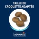 Advance Lamb and Rice Dry Dog Food
