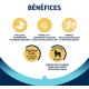 Advance Lamb and Rice Dry Dog Food