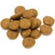 Amazon brand: Lifelong Complete Dry Food for Adult Dogs with Salmon and Rice, 1 x 5 kg Amazon brand: Lifelong Complete Dry Food for Adult Dogs with Salmon and Rice, 1 x 5 kg