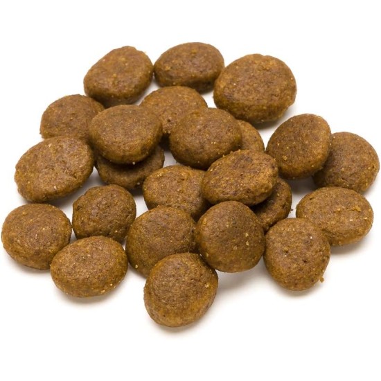 Amazon brand: Lifelong Complete Dry Food for Adult Dogs with Salmon and Rice, 1 x 5 kg Amazon brand: Lifelong Complete Dry Food for Adult Dogs with Salmon and Rice, 1 x 5 kg