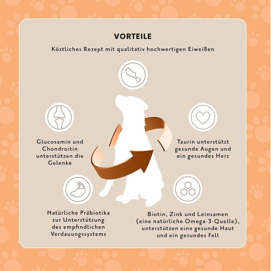 Amazon brand: Lifelong Complete Dry Food for Adult Dogs with Salmon and Rice, 1 x 5 kg Amazon brand: Lifelong Complete Dry Food for Adult Dogs with Salmon and Rice, 1 x 5 kg