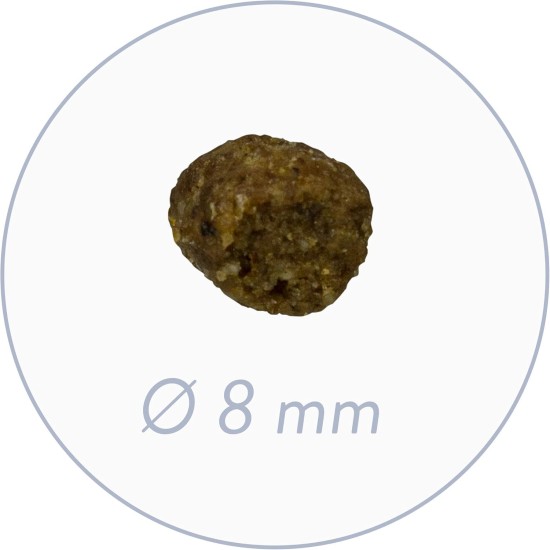 Bosch Pet Food, Dog Food Bosch Pet Food, Dog Food