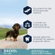 Eukanuba Adult Breeds Specific Dachshund Chicken, 2.5 kg Eukanuba Adult Breeds Specific Dachshund Chicken, 2.5 kg