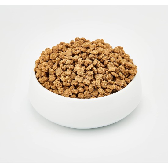 Eukanuba Breed Nutrition Yorkshire Terrier Dry Food, 2 Kg, Pack of 1 Eukanuba Breed Nutrition Yorkshire Terrier Dry Food, 2 Kg, Pack of 1