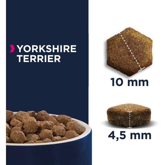 Eukanuba Breed Nutrition Yorkshire Terrier Dry Food, 2 Kg, Pack of 1 Eukanuba Breed Nutrition Yorkshire Terrier Dry Food, 2 Kg, Pack of 1