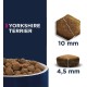 Eukanuba Breed Nutrition Yorkshire Terrier Dry Food, 2 Kg, Pack of 1 Eukanuba Breed Nutrition Yorkshire Terrier Dry Food, 2 Kg, Pack of 1