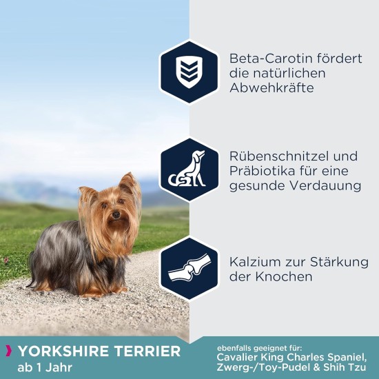 Eukanuba Breed Nutrition Yorkshire Terrier Dry Food, 2 Kg, Pack of 1 Eukanuba Breed Nutrition Yorkshire Terrier Dry Food, 2 Kg, Pack of 1