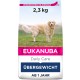 Eukanuba Daily Care Overweight / Sterilised Dry Food - Low Fat Special Food for Overweight or Neutered Dogs, 12 kg Eukanuba Daily Care Overweight / Sterilised Dry Food - Low Fat Special Food for Overweight or Neutered Dogs, 12 kg