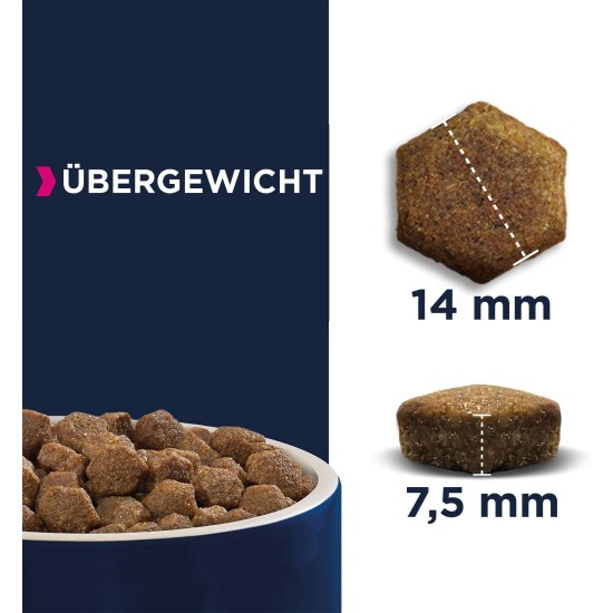 Eukanuba Daily Care Overweight / Sterilised Dry Food - Low Fat Special Food for Overweight or Neutered Dogs, 12 kg Eukanuba Daily Care Overweight / Sterilised Dry Food - Low Fat Special Food for Overweight or Neutered Dogs, 12 kg
