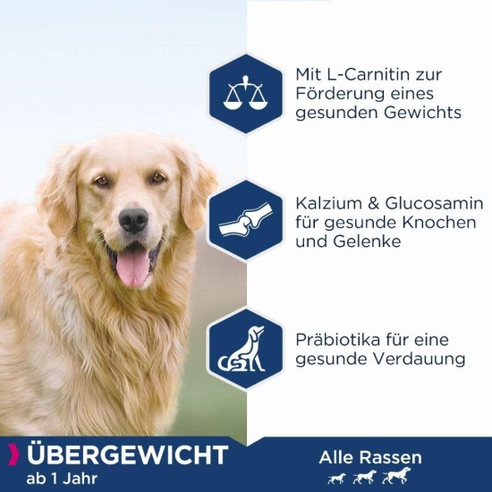 Eukanuba Daily Care Overweight / Sterilised Dry Food - Low Fat Special Food for Overweight or Neutered Dogs, 12 kg Eukanuba Daily Care Overweight / Sterilised Dry Food - Low Fat Special Food for Overweight or Neutered Dogs, 12 kg