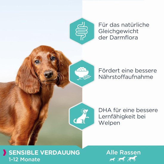 Eukanuba Daily Care Sensitive Digestion Dog Food - Dry Food for Dogs with Sensitive Digestion, Stomach Friendly with Easily Digestible Rice, 12 kg Eukanuba Daily Care Sensitive Digestion Dog Food - Dry Food for Dogs with Sensitive Digestion, Stomach Friendly with Easily Digestible Rice, 12 kg