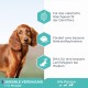 Eukanuba Daily Care Sensitive Digestion Dog Food - Dry Food for Dogs with Sensitive Digestion, Stomach Friendly with Easily Digestible Rice, 12 kg Eukanuba Daily Care Sensitive Digestion Dog Food - Dry Food for Dogs with Sensitive Digestion, Stomach Friendly with Easily Digestible Rice, 12 kg