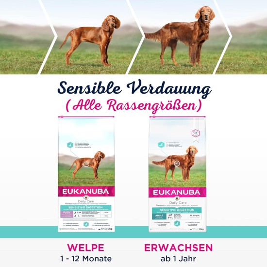 Eukanuba Daily Care Sensitive Digestion Dog Food - Dry Food for Dogs with Sensitive Digestion, Stomach Friendly with Easily Digestible Rice, 12 kg Eukanuba Daily Care Sensitive Digestion Dog Food - Dry Food for Dogs with Sensitive Digestion, Stomach Friendly with Easily Digestible Rice, 12 kg