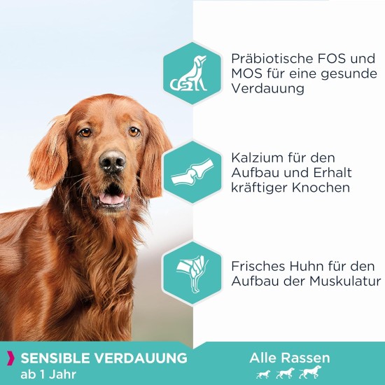 Eukanuba Daily Care Sensitive Digestion Dog Food - Dry Food for Dogs with Sensitive Digestion, Stomach Friendly with Easily Digestible Rice, 12 kg Eukanuba Daily Care Sensitive Digestion Dog Food - Dry Food for Dogs with Sensitive Digestion, Stomach Friendly with Easily Digestible Rice, 12 kg