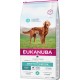Eukanuba Daily Care Sensitive Digestion Dog Food - Dry Food for Dogs with Sensitive Digestion, Stomach Friendly with Easily Digestible Rice, 12 kg Eukanuba Daily Care Sensitive Digestion Dog Food - Dry Food for Dogs with Sensitive Digestion, Stomach Friendly with Easily Digestible Rice, 12 kg