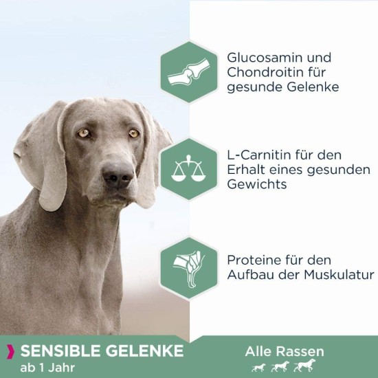 Eukanuba Daily Care Sensitive Joints Dog Food - Dry Food for Dogs with Joint Discomfort - Special Food Suitable for All Adult Breeds, 12 kg Eukanuba Daily Care Sensitive Joints Dog Food - Dry Food for Dogs with Joint Discomfort - Special Food Suitable for All Adult Breeds, 12 kg