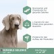 Eukanuba Daily Care Sensitive Joints Dog Food - Dry Food for Dogs with Joint Discomfort - Special Food Suitable for All Adult Breeds, 12 kg Eukanuba Daily Care Sensitive Joints Dog Food - Dry Food for Dogs with Joint Discomfort - Special Food Suitable for All Adult Breeds, 12 kg
