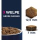 Eukanuba Dog Food Grain-Free with Fish for Large Breeds - Dry Food for Adult Dogs, 12 kg Eukanuba Dog Food Grain-Free with Fish for Large Breeds - Dry Food for Adult Dogs, 12 kg