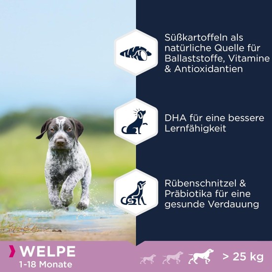 Eukanuba Dog Food Grain-Free with Fish for Large Breeds - Dry Food for Adult Dogs, 12 kg Eukanuba Dog Food Grain-Free with Fish for Large Breeds - Dry Food for Adult Dogs, 12 kg