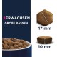 Eukanuba Dog Food Grain-Free with Fish for Large Breeds - Dry Food for Adult Dogs, 12 kg Eukanuba Dog Food Grain-Free with Fish for Large Breeds - Dry Food for Adult Dogs, 12 kg
