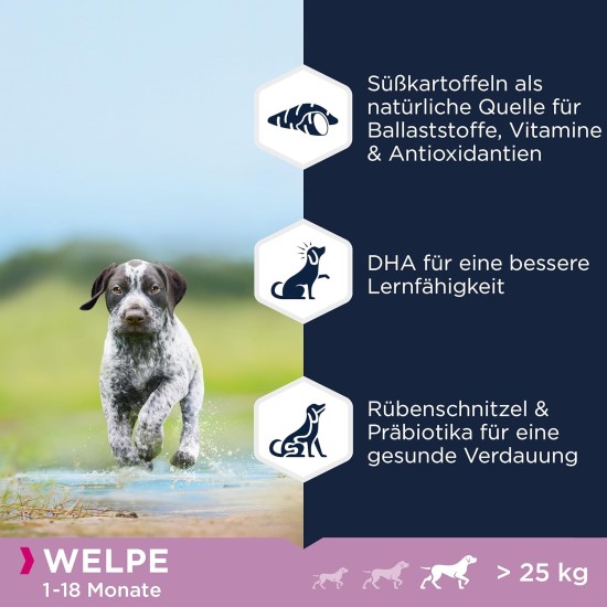 Eukanuba Dog Food Grain-Free with Fish for Large Breeds - Dry Food for Adult Dogs, 12 kg Eukanuba Dog Food Grain-Free with Fish for Large Breeds - Dry Food for Adult Dogs, 12 kg