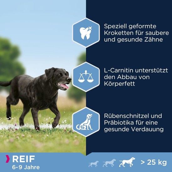 Eukanuba Dog Food for Large Breeds, Premium Dry Food with Fresh Chicken, 15 kg Eukanuba Dog Food for Large Breeds, Premium Dry Food with Fresh Chicken, 15 kg