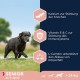 Eukanuba Dog Food for Large Breeds, Premium Dry Food with Fresh Chicken, 15 kg Eukanuba Dog Food for Large Breeds, Premium Dry Food with Fresh Chicken, 15 kg