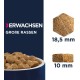 Eukanuba Dog Food for Large Breeds, Premium Dry Food with Fresh Chicken, 15 kg Eukanuba Dog Food for Large Breeds, Premium Dry Food with Fresh Chicken, 15 kg