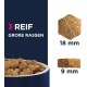 Eukanuba Dog Food for Large Breeds, Premium Dry Food with Fresh Chicken, 15 kg Eukanuba Dog Food for Large Breeds, Premium Dry Food with Fresh Chicken, 15 kg