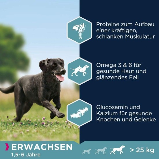 Eukanuba Dog Food for Large Breeds, Premium Dry Food with Fresh Chicken, 15 kg Eukanuba Dog Food for Large Breeds, Premium Dry Food with Fresh Chicken, 15 kg