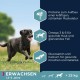 Eukanuba Dog Food for Large Breeds, Premium Dry Food with Fresh Chicken, 15 kg Eukanuba Dog Food for Large Breeds, Premium Dry Food with Fresh Chicken, 15 kg